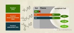 替诺福韦艾拉酚胺(TAF)III期研究结果揭示：96周无耐药，病毒抑制强